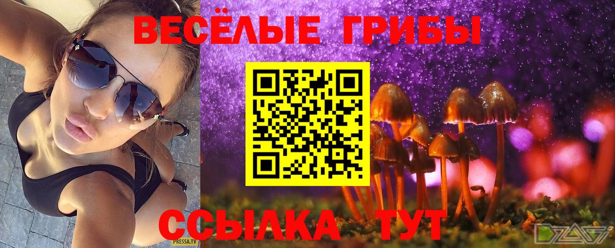 Вязники  Псилоцибиновые грибы ЛСД  Вход с VPN 