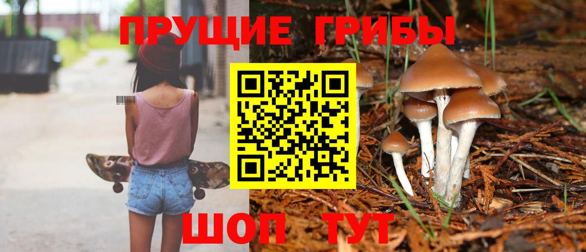 Галлюциногенные грибы мухоморы Вязники